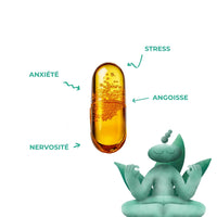 Pathologies accompagnées par les gélules de CBD Stress & Anxiété