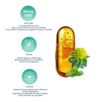 Composition des gélules de CBD Stress & Anxiété