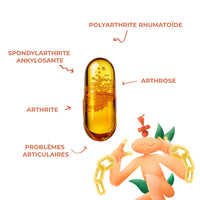 Pathologies accompagnées par les gélules de CBD Articulations