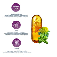 Composition des gélules de CBD Migraines