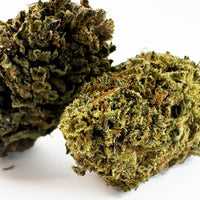 Gorilla Glue CBD en gros plan
