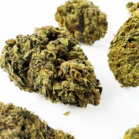 Gorilla Glue — fleur de CBD au meilleur prix