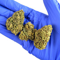 Vue rapprochée de Gorilla Glue CBD