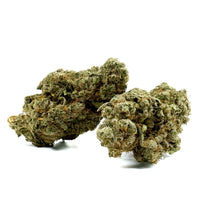 Fleur de CBD Zushi — couleur intense
