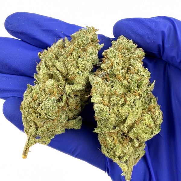 Zushi CBD de qualité