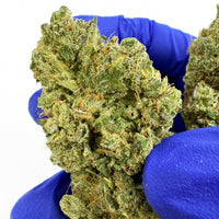 Zushi CBD Indoor – cb'dé