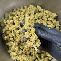 Fleur de CBD - Harlequin Indoor