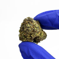 Strawberry CBD, trichomes visibles