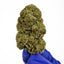 Candy Kush - INDOOR