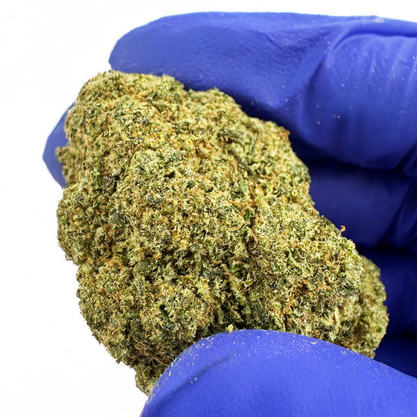 Candy Kush CBD, trichomes visibles