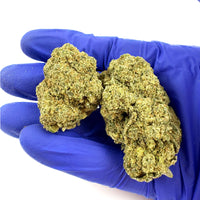 Visuel de fleur de CBD Indoor Candy Kush