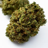 Jack Herer CBD en détail