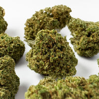 Jack Herer CBD, couleur intense