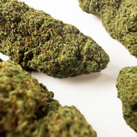 Jack Herer Hybride USA — trichomes visibles