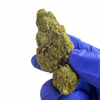 Fleur de CBD Hybride USA Jack Herer