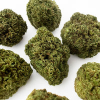Jack Herer — fleur de CBD de qualité