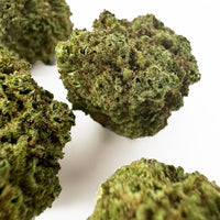 Photo de fleur de CBD Small Buds Jack Herer