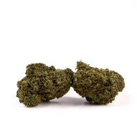 Fleur de CBD Lemon Haze - CALI en gros plan