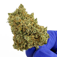 Lemon Meringue CBD, couleur intense