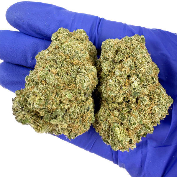 Aperçu de Lemon Meringue CBD