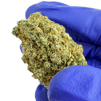 Lemon Haze - CALI CBD, fleur dense