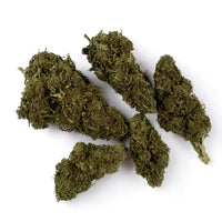 Lemon OG CBD Greenhouse