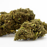 Lemon OG Greenhouse en détail