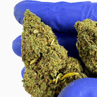 Fleur de CBD Lemon OG — têtes résineuses