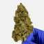 Lemon OG - GREENHOUSE