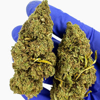 Visuel produit: Lemon OG CBD