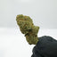 La Malabar Indoor zoomée, avec ses trichomes