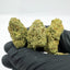 Fleur de CBD Malabar Indoor aux arômes fruités et puissants
