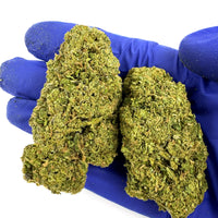 Photo de Cookies & Cream Indoor