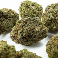 Fleur de CBD Gelato #41 sous un autre angle
