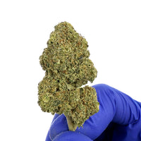 Gelato #41 CBD en haute définition