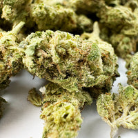 Malabar — fleur de CBD de qualité