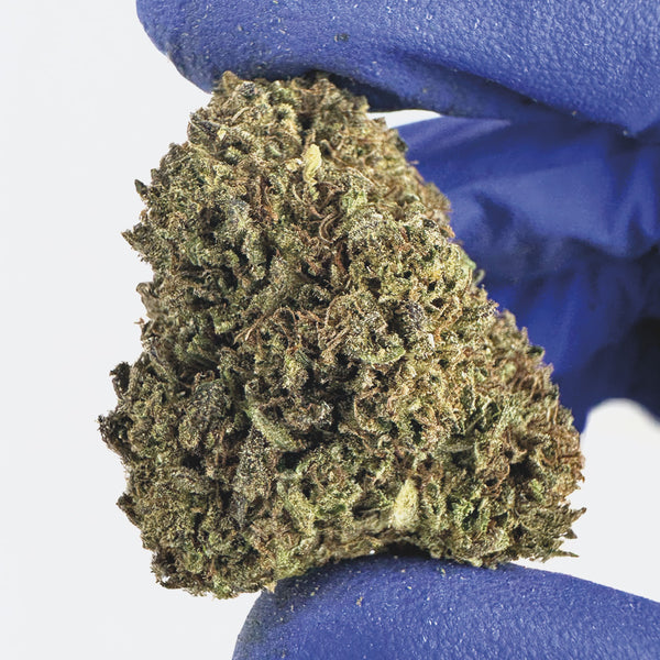 Grape Ape CBD, couleur intense