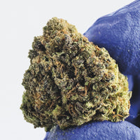 Fleur de CBD Greenhouse Le classique