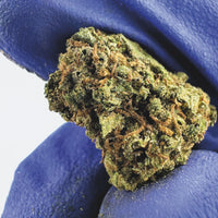 Acheter Le classique CBD chez cb'dé