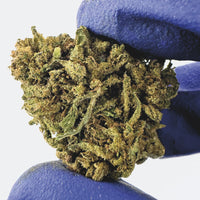 Acheter €canna - Mango Haze CBD