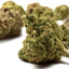 Small Buds CBD - Mix INDOOR