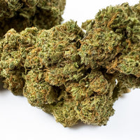 Fleur de CBD Glasshouse Northern Light