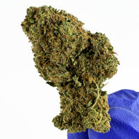 Acheter Northern Light CBD chez cb'dé