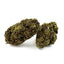 OG Kush CBD au meilleur prix