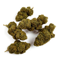Photo détaillée d'Orange Bud - CALI Hydroponique