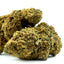 Cliché d'Orange Bud - CALI CBD