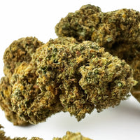 Fleur de CBD Orange Bud - CALI — trichomes visibles