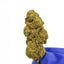 Orange Bud - CALI, fleur de CBD à découvrir