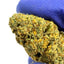 Orange Bud - CALI CBD Hydroponique