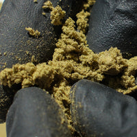 Zoom sur pollen Amnesia CBD texture humide